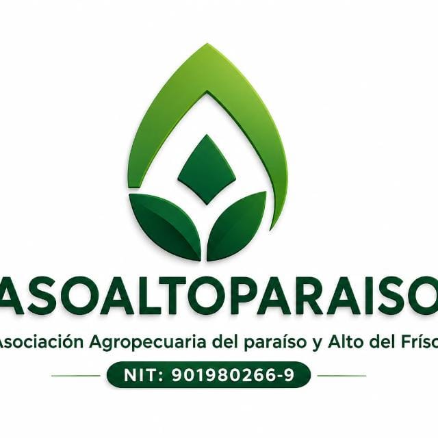 asoaltoparaisa