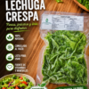 LECHUGA CRESPA
